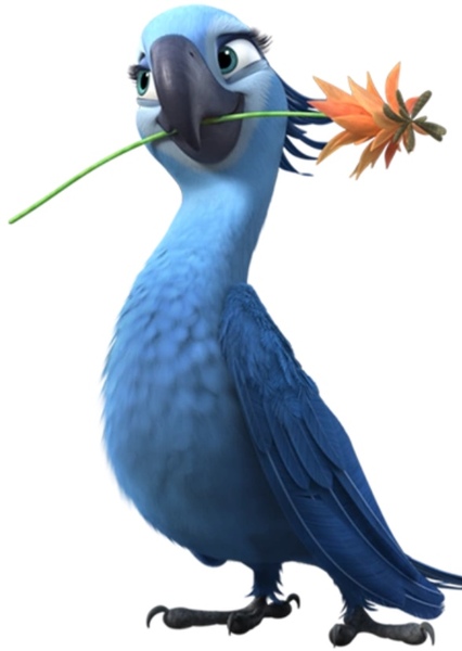 Jewel The Macaw photo