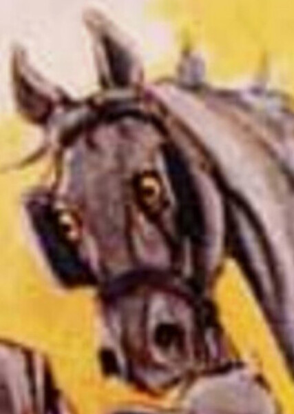 Jim the Cab-Horse photo