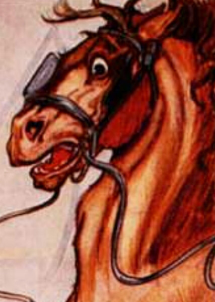 Jim the Cab-Horse photo