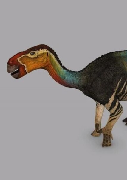 Jinzhousaurus photo