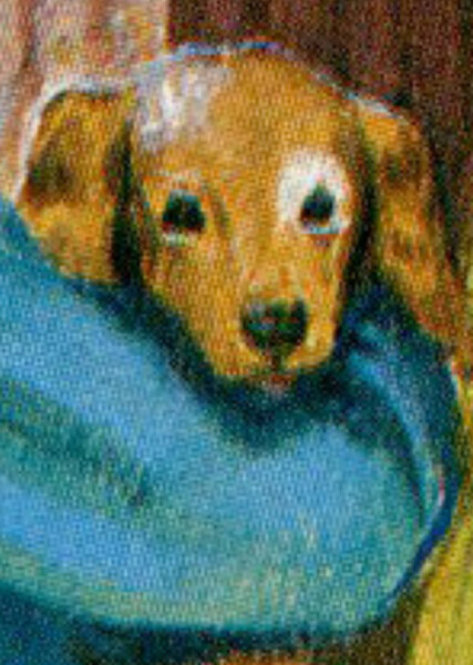 Jip (American Girl)