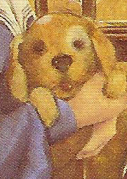 Jip (American Girl) photo