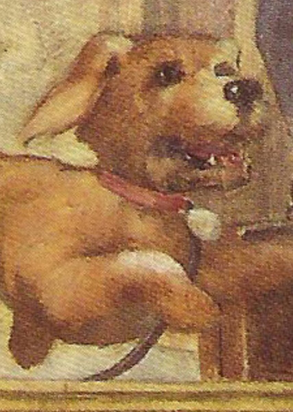 Jip (American Girl) photo