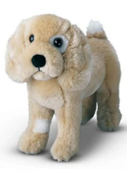 Jip (American Girl) photo