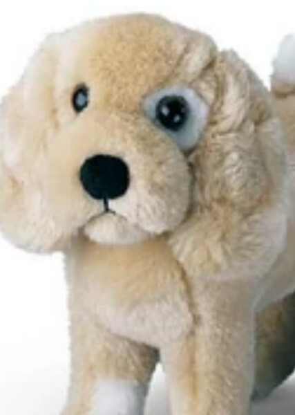 Jip (American Girl) photo