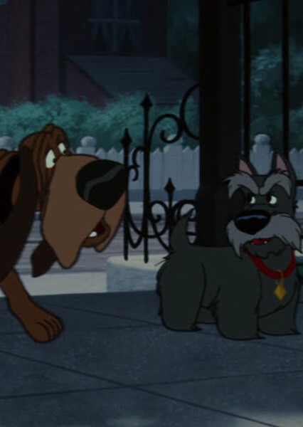 Jock and Trusty photo