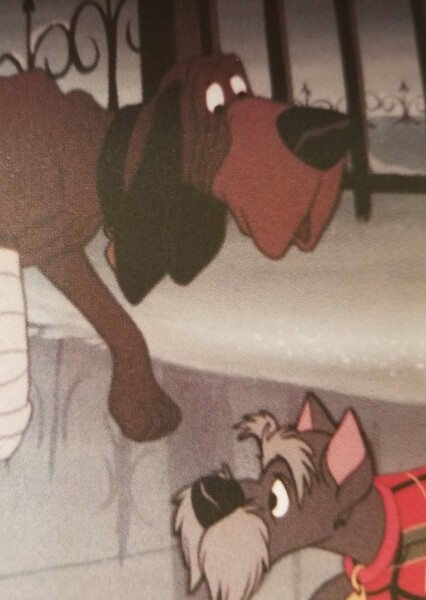Jock and Trusty photo