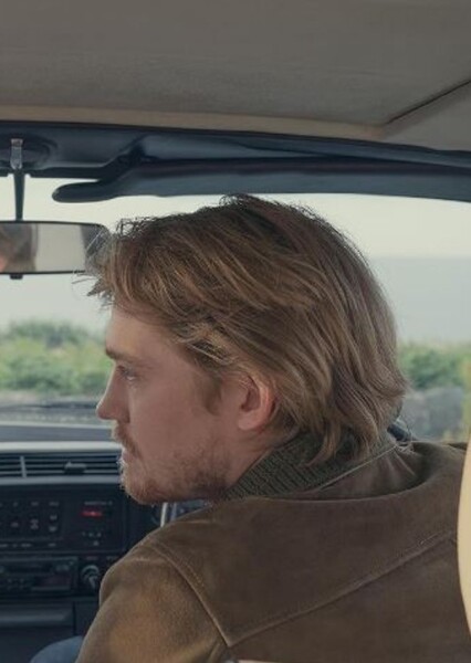 Joe Alwyn photo
