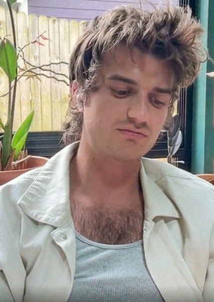 Joe Keery photo