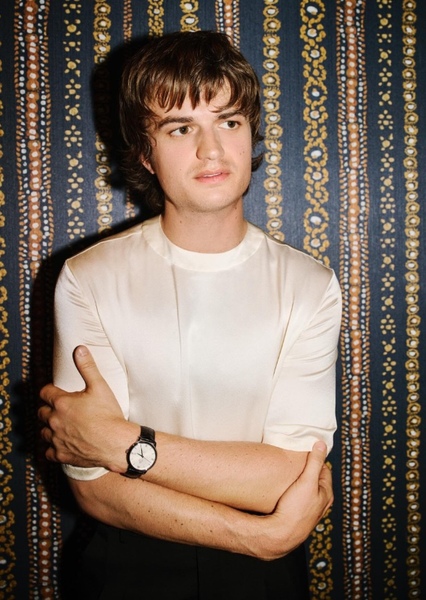 Joe Keery photo