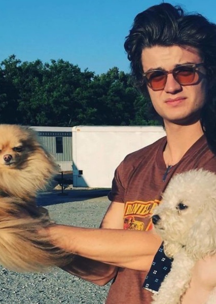 Joe Keery photo