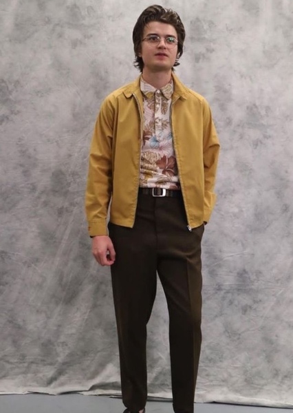 Joe Keery photo
