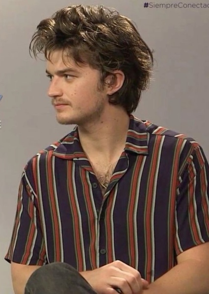 Joe Keery photo