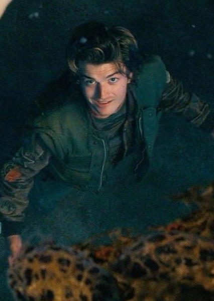 Joe Keery photo