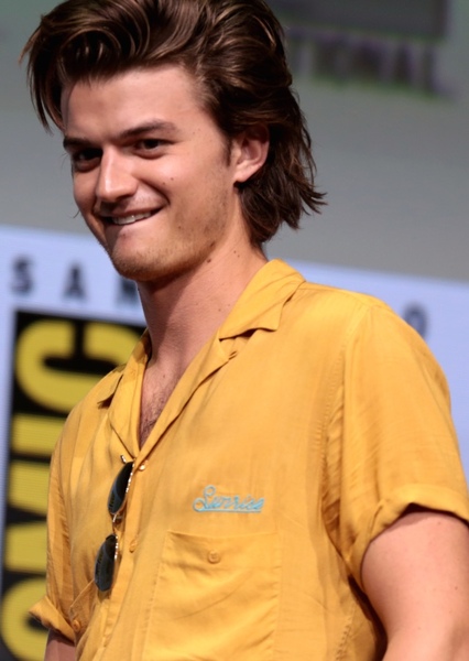 Joe Keery photo