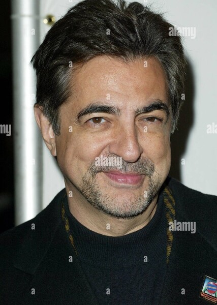 Joe Mantegna photo