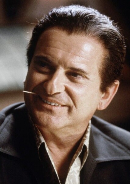 Joe Pesci photo