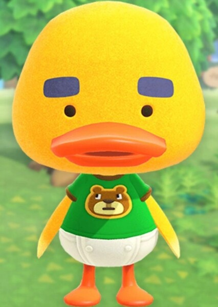 Joey (Animal Crossing)