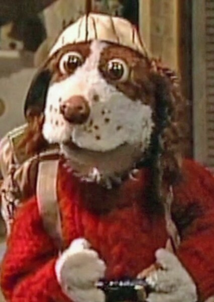 Joey Mazzarino