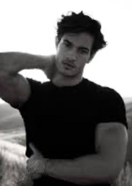 Johann Fitch