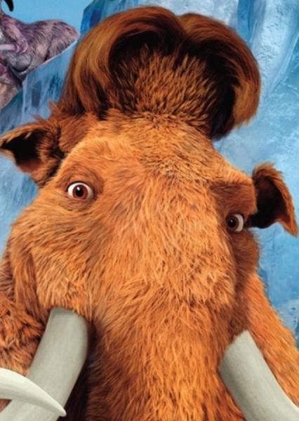 John C. Reilly photo
