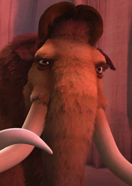 John C. Reilly photo