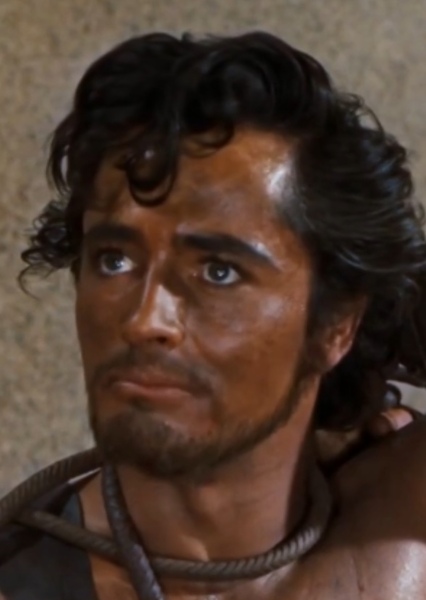 John Derek photo