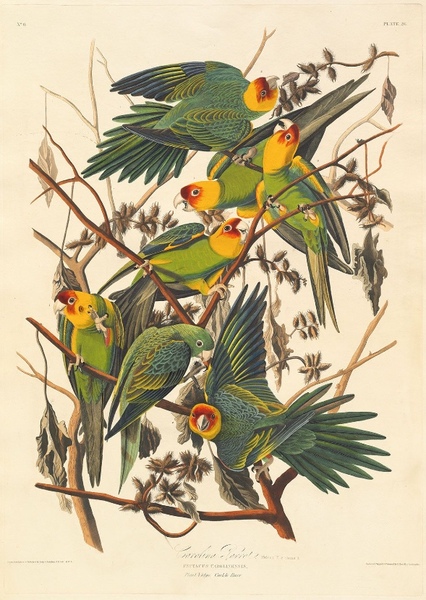 John James Audubon