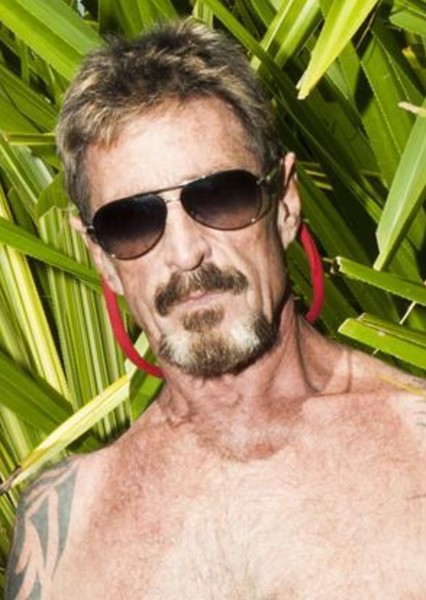 John McAfee photo