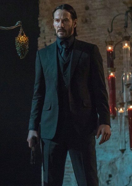 John Wick photo