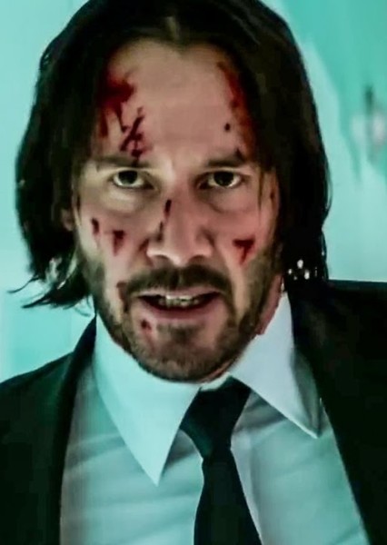 John Wick photo