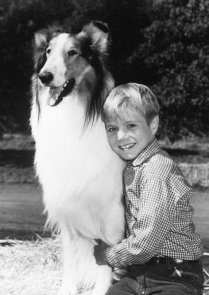 Jon Provost photo