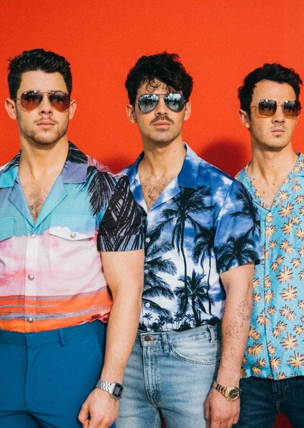 Jonas Brothers photo