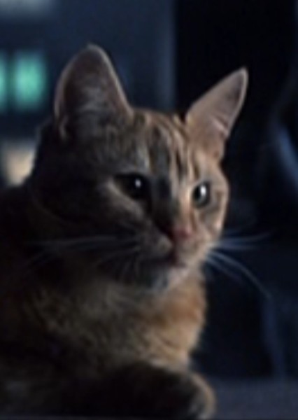 Jones the Cat (Alien) photo
