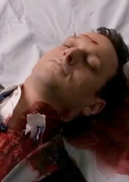 Josh Charles photo
