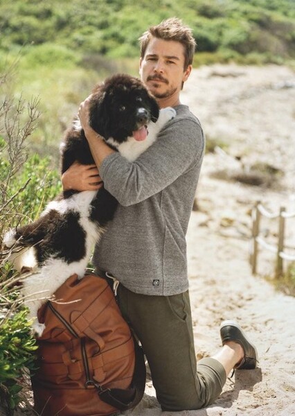 Josh Hartnett photo