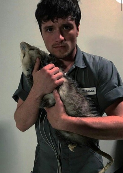 Josh Hutcherson photo