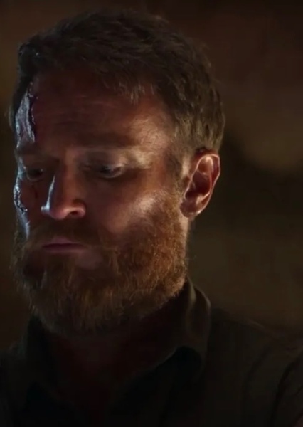 Josh Lawson photo