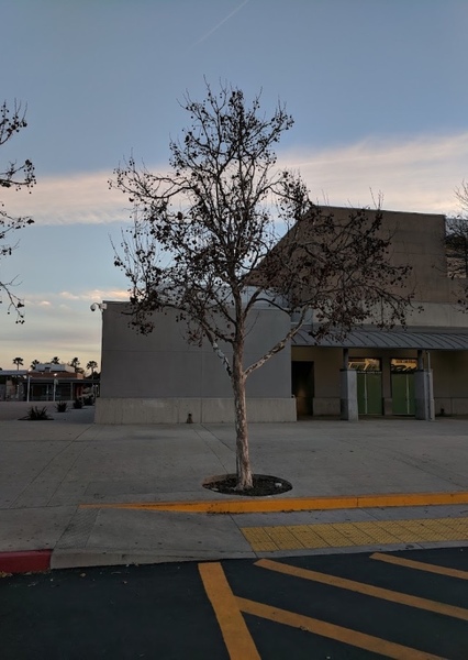 Juan Rodriguez Cabrillo High School