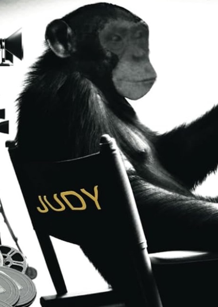 Judy the Chimpanzee photo