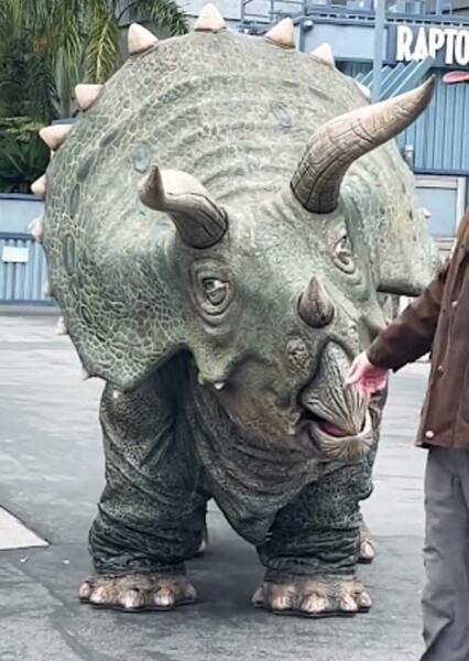 Juliet the Triceratops