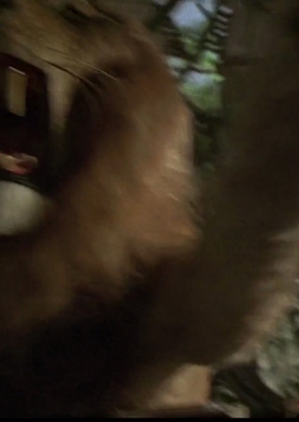 JUMANJI LION ROAR photo