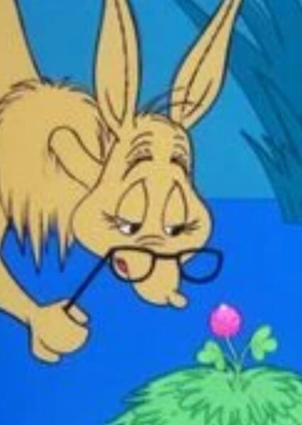 Kangaroo