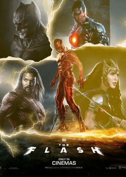 Justice League: The Flashpoint Paradox (DC Movie)