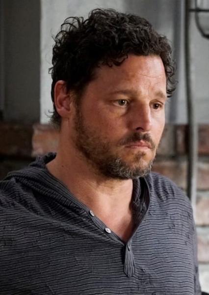 Justin Chambers photo