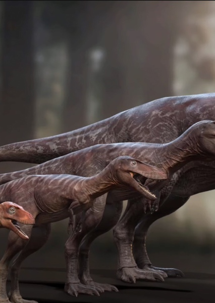 Juvenile Tyrannosaurus Rex (Saurian)