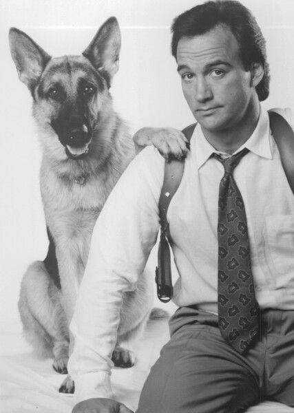 K-9 photo