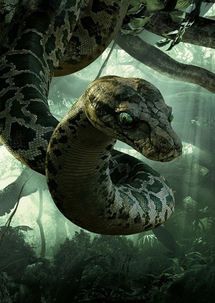 Kaa (The Jungle Book)