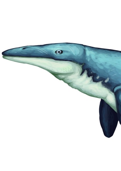 Kaikaifilu