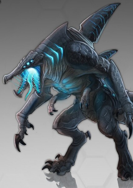 Kallars (Lu Zhang)